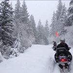 Profile Picture of Adam Jenks (@adam_is_ugly) on Instagram