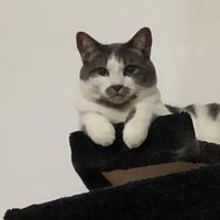 Profile Picture of Cindy Moncrief (@cindy-moncrief-2) on Quora