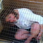 Profile Picture of Bobbie Parris-Fossey (@bobbieparrisfossey) on Instagram