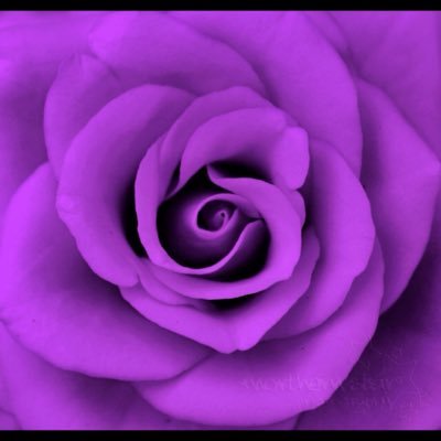 Profile Picture of Janet Hearn (@jan16650) on Twitter