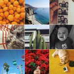 Profile Picture of thomas darwin (@thomasdarwin1234) on Instagram