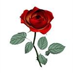 Profile Picture of Tommie (@lyngeemage34) on Instagram