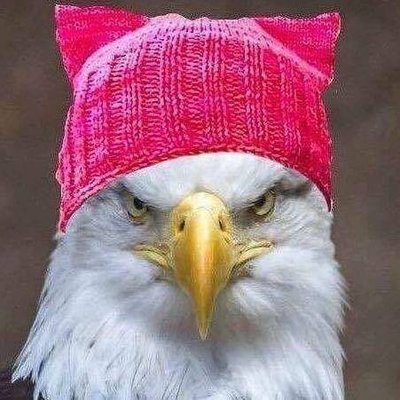Profile Picture of Alan Kowalski (@AlTheHammer1) on Twitter
