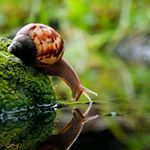 Robina Ahmadi - Instagram Profile Picture of Robina Ahmadi (@ahmadirobina) on Instagram