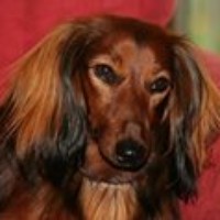 Profile Picture of Eric Ayache (@eric-ayache) on Quora