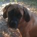 Profile Picture of Carroll Butch Edmonds (@butch.edmonds.7) on Facebook