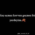 Profile Picture of Sil Gitsin (@Sil-Gitsin) on Facebook