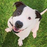 Profile Picture of Zoe Manning (@montybobandbanjo) on Instagram