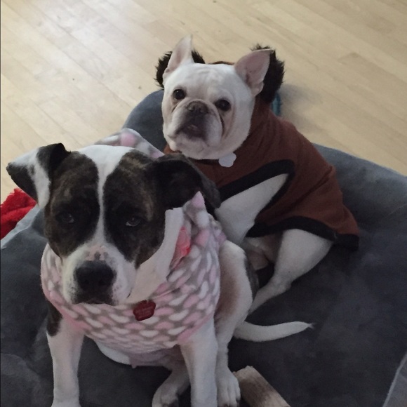 Profile Picture of Wendy Romaniecki (@wromaniecki) on Poshmark