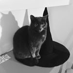 Profile Picture of Simone Rauscher (@simone.rauscher) on Instagram