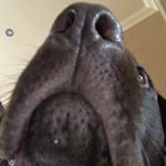 Profile Picture of Jessica Hackman (@jessica_hackman) on Instagram