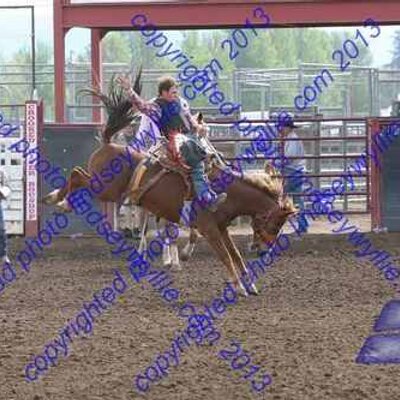 Profile Picture of Kyle Stickel (@broncrider56) on Twitter