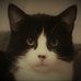 Profile Picture of Scott Darko (@scott.darko.73) on Facebook