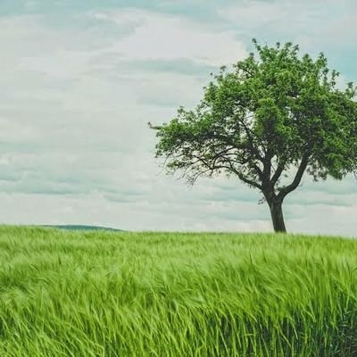 Profile Picture of Aloke Chatterjee (@AlokeCh50959891) on Twitter