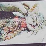 Profile Picture of Harry Richard Medlock (@harry_medlock_back_up) on Instagram