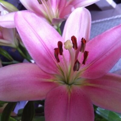 Profile Picture of Hilda (@NancyChacko) on Twitter