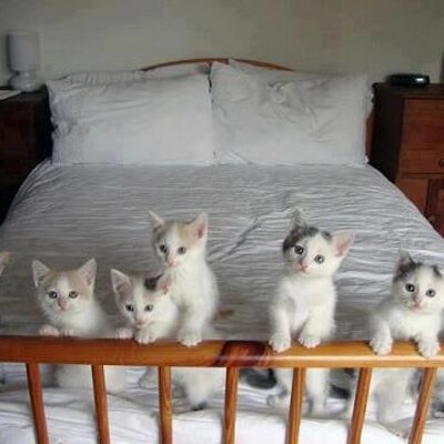 Profile Picture of Yves Bertrand (@minilou6404) on Twitter