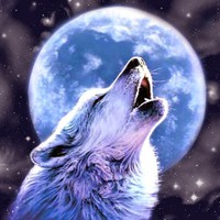 Profile Picture of Caleb Krebs (@caleb-krebs-2) on Quora