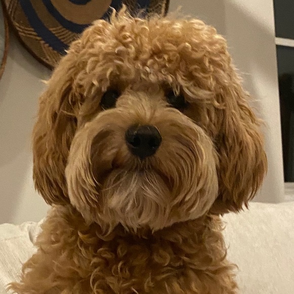 Profile Picture of Katey johnson Closet (@closetcek) on Poshmark