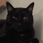 Profile Picture of Matthew Hidalgo (@hidalgo_matt) on Instagram