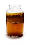 Profile Picture of Kombucha - Wikipediaon Wikipedia