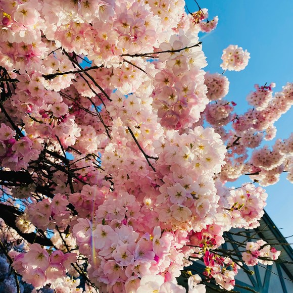 Profile Picture of Gabrielle Yeetzy (@gabrielleyeetzy) on Poshmark