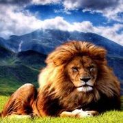 Profile Picture of Kimberly Eager (@kmbrlyeg) on Pinterest