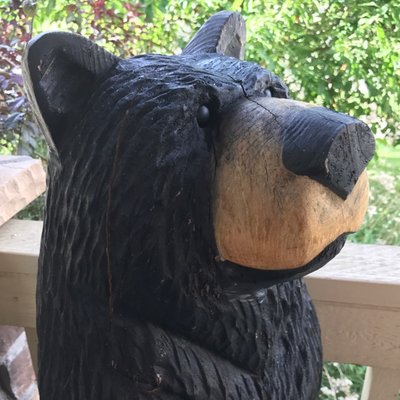 Profile Picture of MissGrizz (@PamWare17) on Twitter