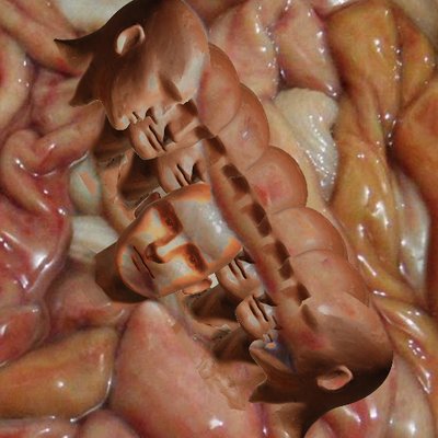 Profile Picture of Tyler Curran (@PurelyKitsch) on Twitter