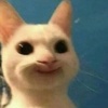 Profile Picture of Anya Retyunskikh (@retevins) on Tiktok