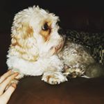Profile Picture of Georgia Singleton (@grsingleton2) on Instagram