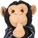 Profile Picture of Stanley T  Monkey (@stanleytmonkey) on Flickr