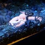 Profile Picture of Paulaschrank (@paulas2727) on Instagram