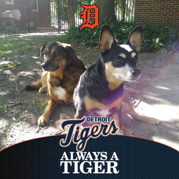 Profile Picture of Debbie Quitter (@debbiequitter) on Poshmark