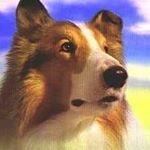 Leigh Ann Waggoner - Instagram Profile Picture of Leigh Ann Waggoner (@leighannwaggoner) on Instagram