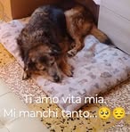 Profile Picture of Lucia Lombardozzi (@lucia.lombardozzi.98) on Facebook