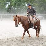 Michele Nardella - Instagram Profile Picture of Michele Nardella (@mic_nardy) on Instagram