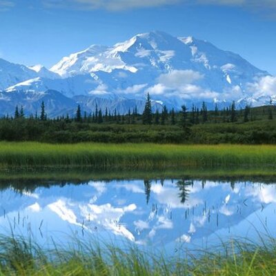 Profile Picture of Herb Johnston (@herb_johnston) on Twitter