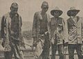 Profile Picture of Forrest River massacre: Investigations and Royal Commissionon Wikipedia