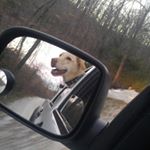 Profile Picture of James R. Halterman III (@jamesr.halterman) on Instagram