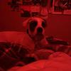 Profile Picture of Alexis_potts03 (@@alexis_potts3) on Tiktok