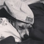 Profile Picture of William (@williamchaffins) on Instagram