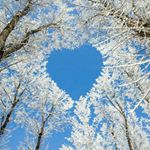 Tracey Wayne - Instagram Profile Picture of Tracey Wayne (@tracey.wayne.5015) on Instagram