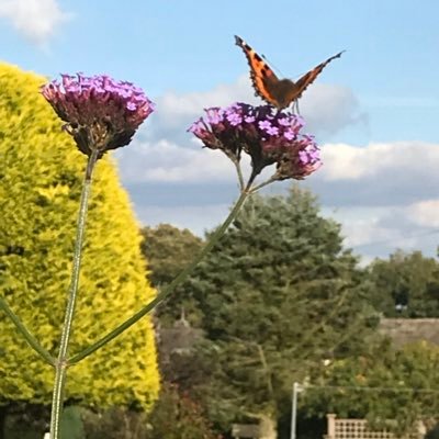 Profile Picture of Colin Purdy (@ColinPurdy3) on Twitter