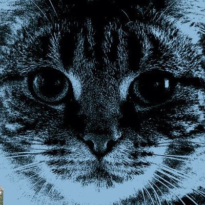 Profile Picture of Minted Mikey The Hodler (@fformatKenArt) on Twitter