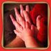 Profile Picture of Janet Tyler (@janettyler) on Pinterest