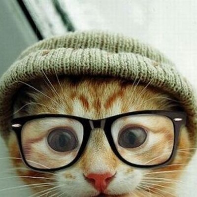 Profile Picture of Farbood Rahimian (@farbood45) on Twitter