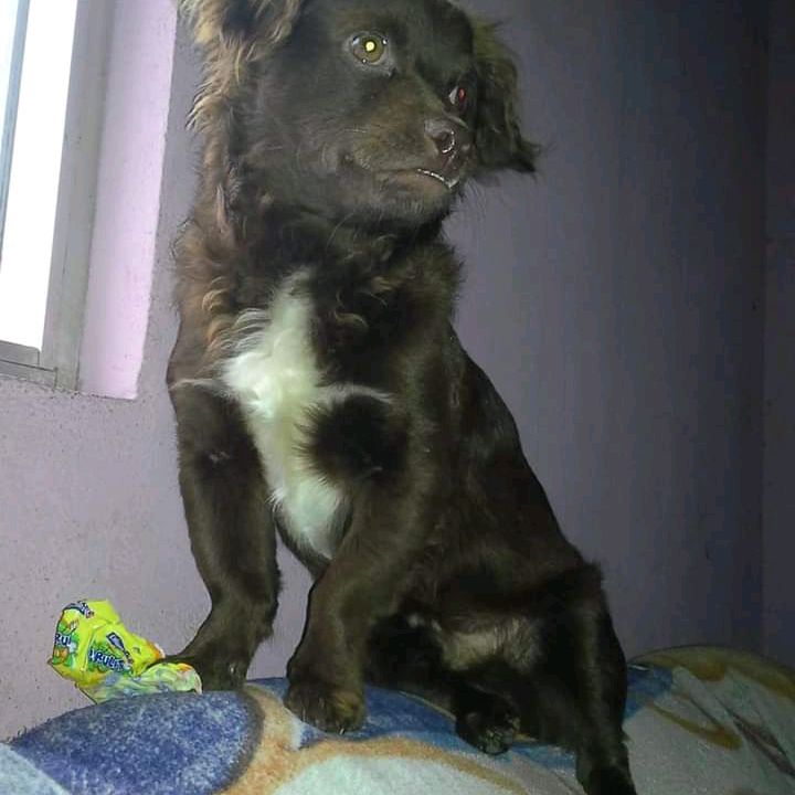 Profile Picture of Antonio Cota (@antonio.cota5) on Tiktok