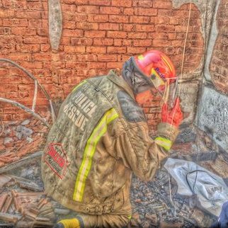 Profile Picture of Dave Steyn (@bravedaveZA) on Twitter