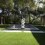 Profile Picture of David Rolston (@dallasgardens) on Instagram